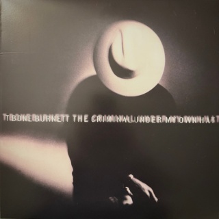 The Criminal Under My Own Hat